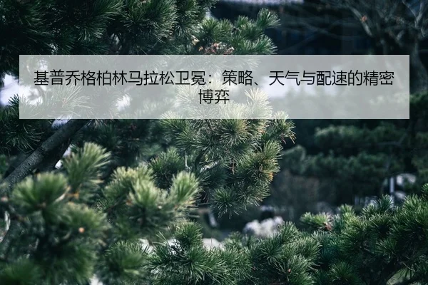 ji-pu-qiao-ge-bo-lin-ma-la-song-wei-mian-ce-lve-tian-qi-yu-pei-su-de-jing-mi-bo-yi-2-517.jpg